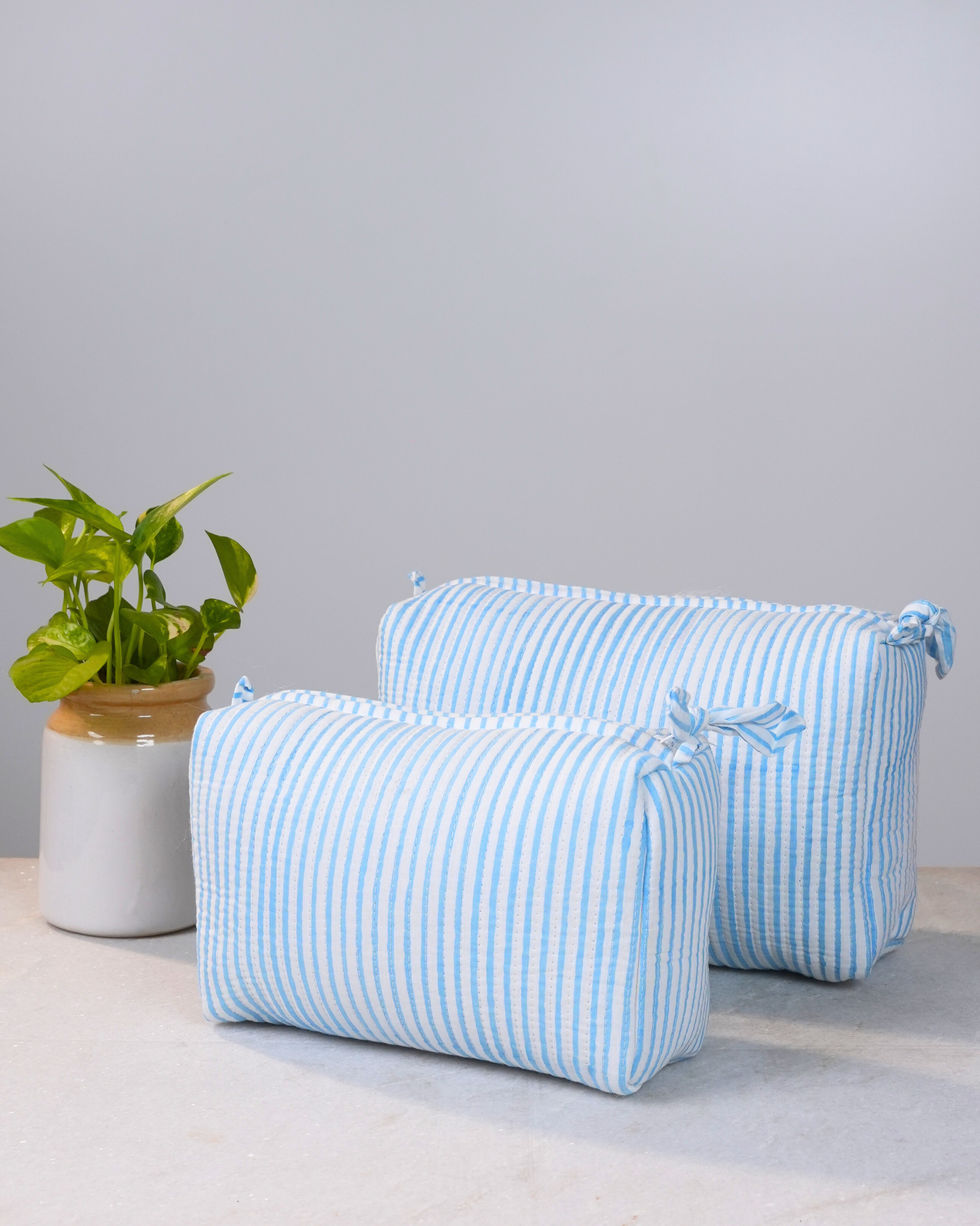 Sky Blue Striped Handblock Pouch