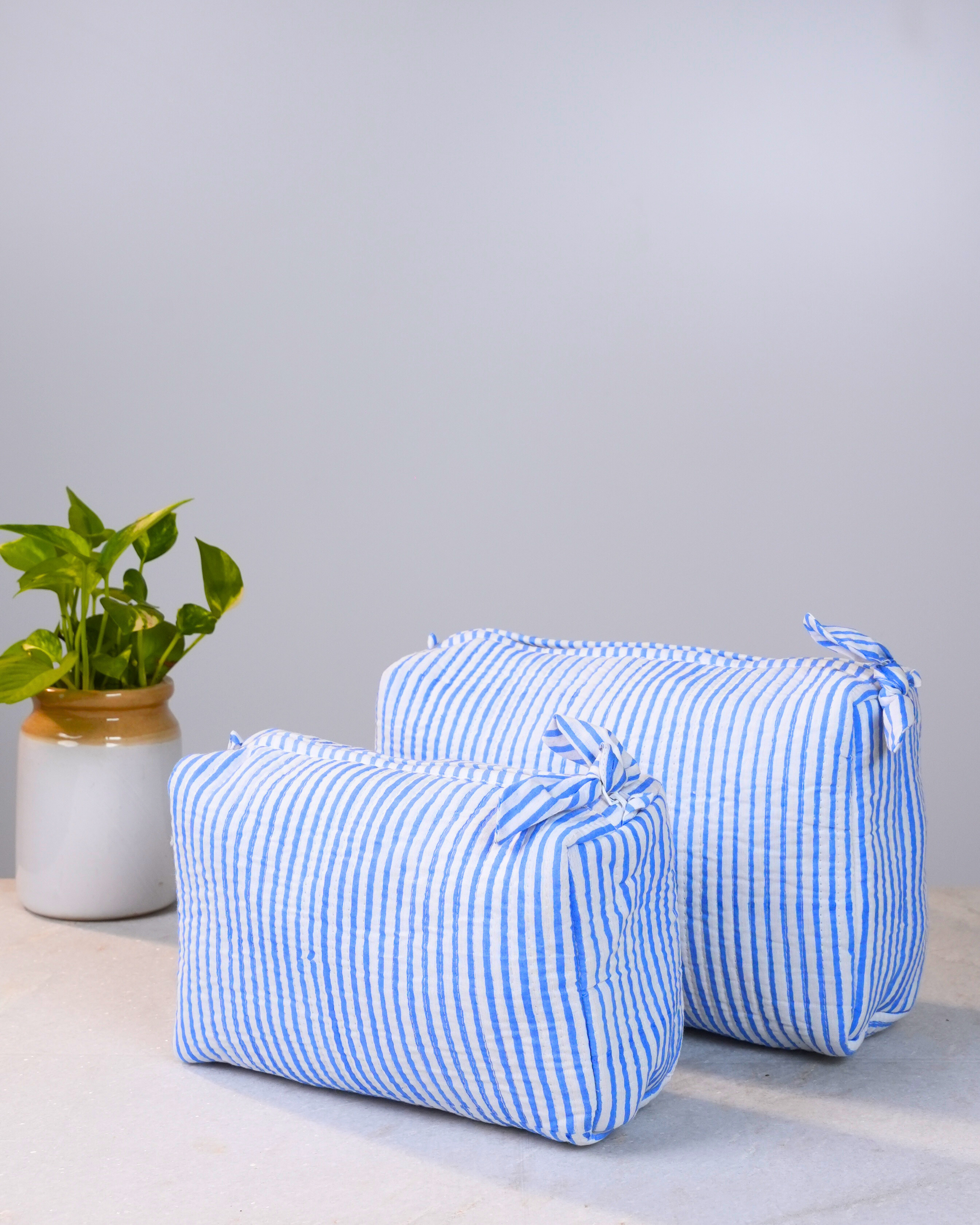 Blue Striped Handblock Pouch Set