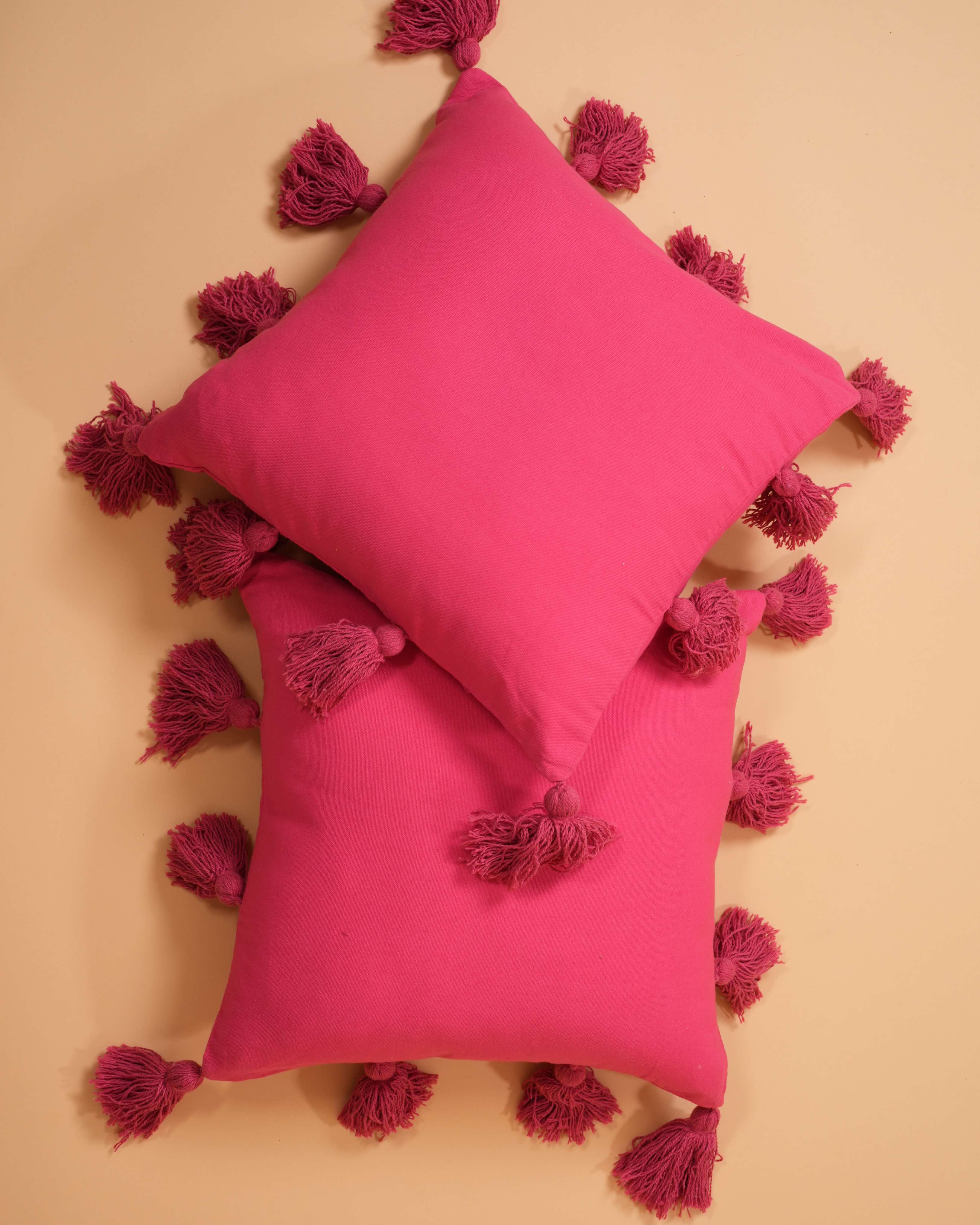 Pink Tassel Cushion Cover Set Of 2